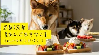 豆柴3兄弟【あんごまきなこ】フルーツサンドづくり・Shibainu Trio's Makes Fruit Sandwiches