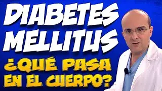 DIABETES MELLITUS - ¿Qué pasa dentro del cuerpo de las personas que la padecen?