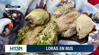 Titulares | 23 de enero 2026