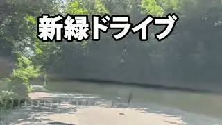 8Kドライブ　ショートです#8kquality #ドライブ旅