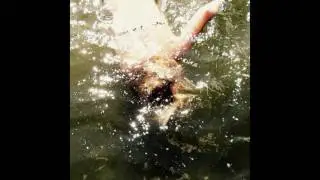 SHXCXCHCXSH - Drain This Lord