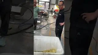 Puffed snack food production line #foodmachine #foodprocessingequipment #factory #foodprocessing