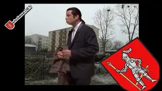 #wlodawa.net - Wycinka drzew STKN - 2021 - Travolta