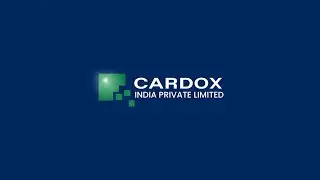 Silo Cleaning ,Bunker,Hopper Cleaning Services & Blockage Removal in Production Line by Cardox India