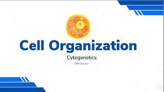 Cell Organization | Organelles | Model Organisms