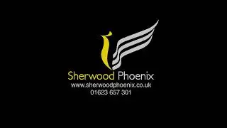 Tanglewood TW15HE Acoustic Guitar by Sherwood Phoenix
