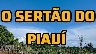 COMO REALMENTE E AS PAISAGENS DO SERTÃO DO PIAUÍ..CONFIRA