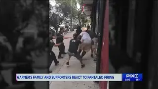 Garner family wants statewide chokehold ban after Pantaleo firing