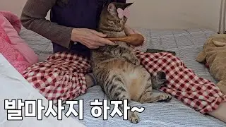 친딸보다 귀하게 자란 냥손녀 앵두