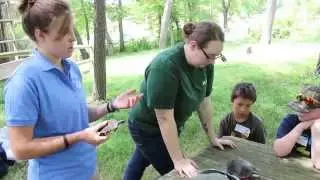 Blue Ridge Wildlife Center, video: Bruce Andrew Peters