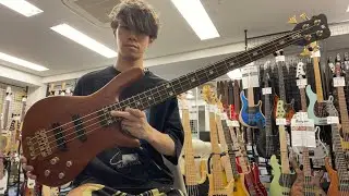 Warwick / Streamer Stage II 4st 2007【Test Play】