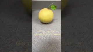 When you&rsquo;re greeted by an organic home grown grapefruit at work #coworkers #citrus #freshorganic
