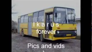 FIS-540 Ikarus 260  1983