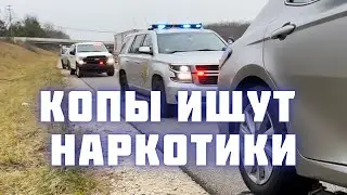 Кинули мошенники | Доставка машины в гетто США | Полицейские рейды
