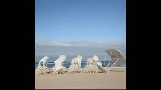 😲Strandbeests created by Dutch Artist Theo Jansen are wind-powered Sculptures that walk on the beach
