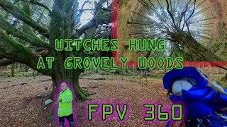360VR Witches were Hung here at Handsel Trees Grovely Wood