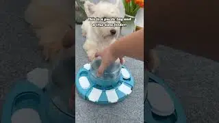 KADTC Puzzle toys! Best dog Toy in USA! D909135 #dogtoys#dogpuzzletoy#dogslowbowl#dogbowl#funnydogs