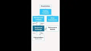What is an insurance reciprocal?