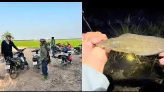 Tiếp tục lên tho mo săn cục vàng,a e cần thủ đông hơn cá,,và cái kết 