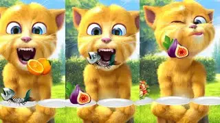 🧸 See Ginger Play Calmly With a Soft Toy 🧸