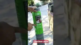 Chicken Wire Gopher Guard