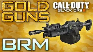 GOLD CAMO GUIDE - BRM! | Black Ops 3 Diamond LMG Tutorials