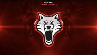 Bastwist - What You Say