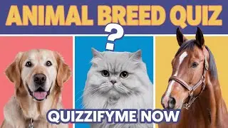 Animal Planet Breed Finder: Take the Ultimate Animal Breed Quiz to Discover Your Perfect Pet!