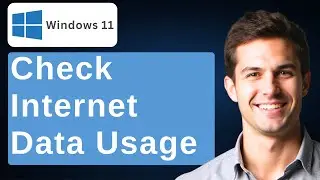 How To Check Internet Data Usage In Windows 11 [2026 Guide]