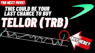 This Could Be Your Last Chance To Buy Tellor TRB Crypto Coin