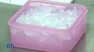 Cloning & Preparation of C C Cells-Part B | Methods in Molecular Biology Practical | MB504P_Topic015