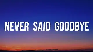Jake Bugg - Never Said Goodbye (Lyrics)