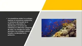 Ecolog&iacute;a marina