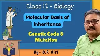 Class 12 Biology Chapter 5 | Genetic Code & Mutation | Molecular Basis of Inheritance | Bihar Board