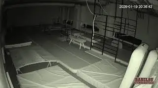 Тренировки 19.01.2026