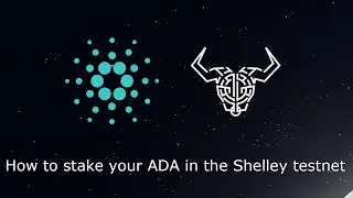 How to participate in the Shelley testnet with Daedalus | Staking, download, and faucet