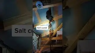 Электричество &mdash; это роскошь.