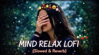 🎧2026 Ultimate Mind Relaxing Lofi Beats | Study, Sleep & Chill 😍✨