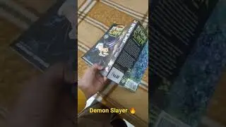 Demon Slayer Volume 13