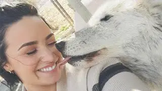 Demi Lovato - Funny Moments 2016 (#4)