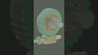 Worm Gear