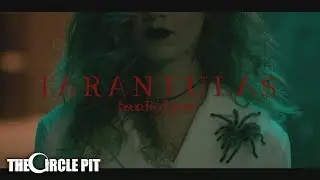 Jason Rodriguez - Tarantulas (Official Music Video) | The Circle Pit