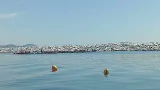 Boston Dragon Boat Festival Race
