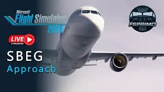 SBEG Approach - #msfs2024 #quest3 #virtualreality #vr