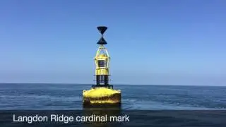 Ribride Explorer May 2017 Seabirds