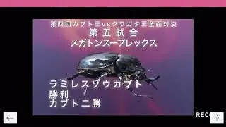 충왕전-제4회 장수풍뎅이 vs 사슴벌레 전면대결