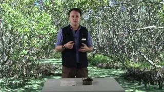 Fieldwork Techniques 4 -- Sediment Size