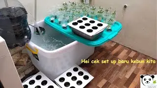 Kebun baru dari PandaFarm. Sayuran dan set baru untuk ikan.