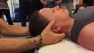 Table Shoshin Shiatsu/Zen Shiatsu Chicago Nov.4th 2017 #4