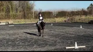Fairlight Best Buddy PC dressage qualifier (qualified both classes) 